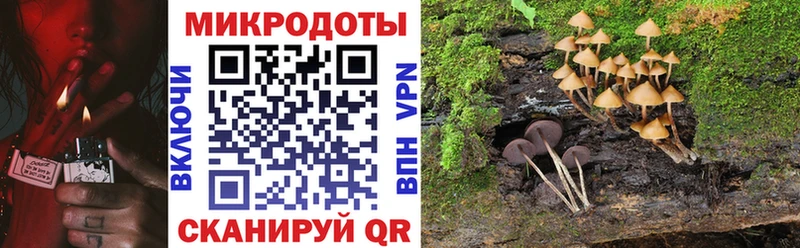 shop официальный сайт  Набережные Челны  Галлюциногенные грибы мухоморы 